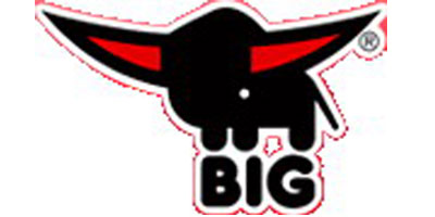 big logo big logo