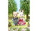 Calico Critters oslavuje 40. narodeniny