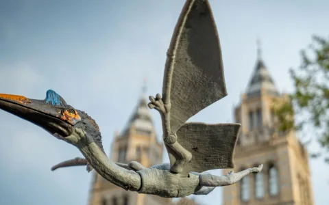 Mattel uskutočnil špeciálny prieskum pri príležitosti Národného dňa dinosaurov