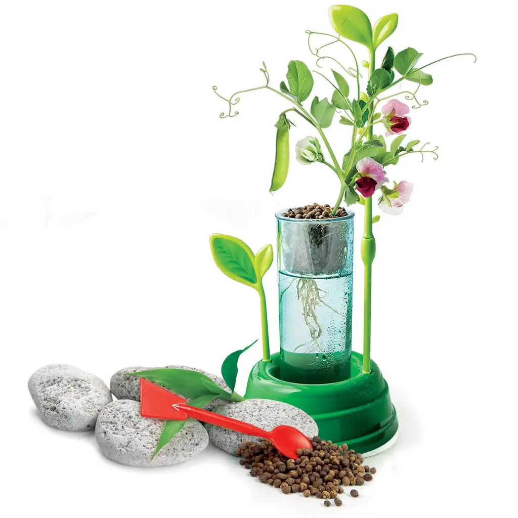 Science&Play: Hydroponický botanický laboratórium - Clementoni kép 4
