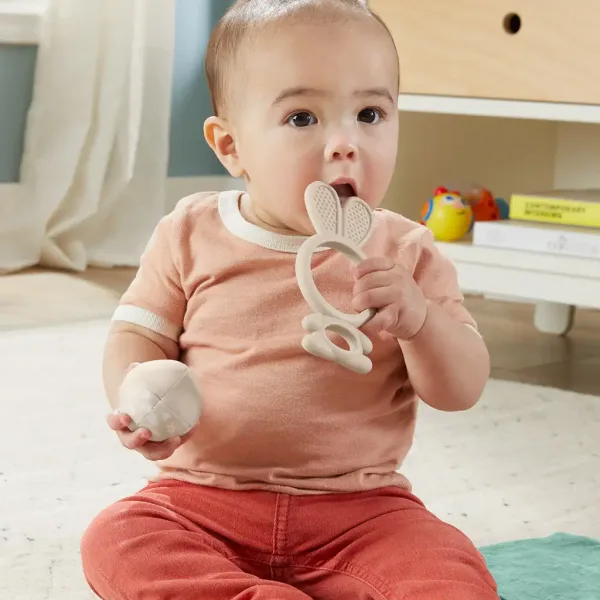 Fisher-Price: Sensimals Ahoj zmyslová sada 4 ks detských hračiek - Mattel obrázok 5