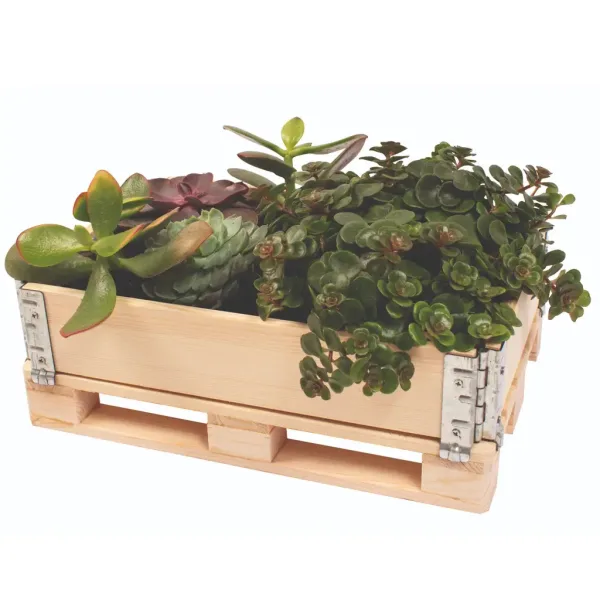 PlayBox: Drevená paletová debnička 18x28x8,65 cm obrázok 3