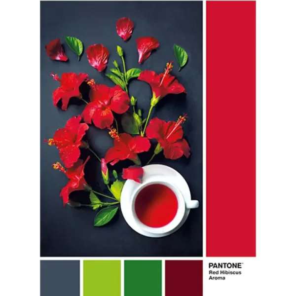 Pantone Ibištekový čaj 1000 dielne puzzle - Clementoni obrázok 2