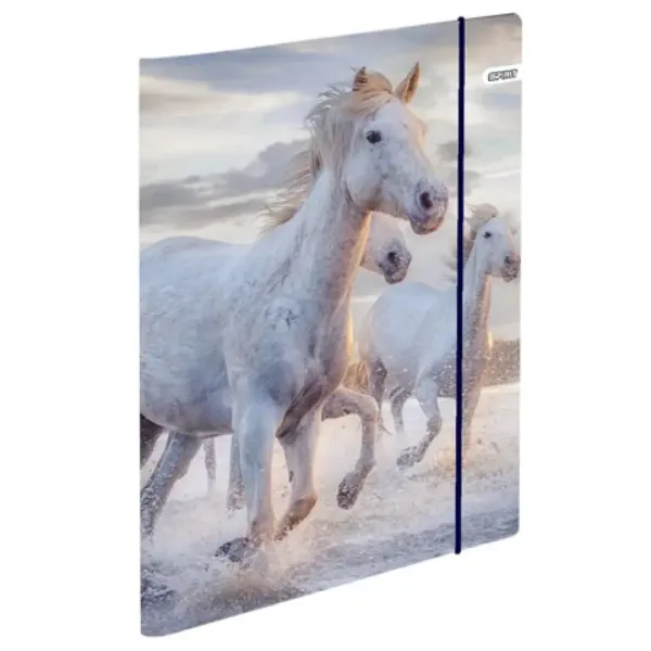 Spirit: Cool Magical Horse ergonomická školská taška, batoh 4-dielny set obrázok 6