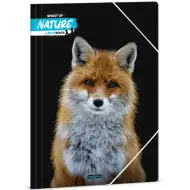 Ars Una: Bence Máté - Líška A/4 doska s gumou