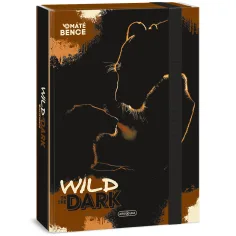 Ars Una: Divoký v tme – box na zošity A4
