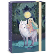 Ars Una: Northern Lights box na zošity A4