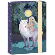 Ars Una: Northern Lights box na zošity A5