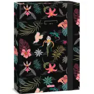 Ars Una: Tahiti A/4 box na zošity