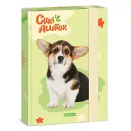 Ars Una: Welsh Corgi bulldog A/5 box na zošit