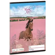 Ars Una: Wild and Free jazdecký linajkový zošit pre 2. ročník A/5