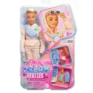 Barbie Dream Teens: Ken bábika s doplnkami - Mattel
