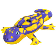 Bestway: Salamandra dvojmiestný jazdecký matrac s rukoväťou 191 x 119 cm