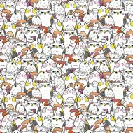 Cardex: Balený papier s veselým vzorom vtákov 100x70 cm