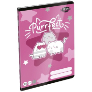 ICO: LizzySuli Kittok Stars Purrfect linkovaný zošit pre 4. ročník A/5 21-32