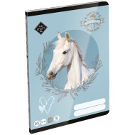 IČO: LizzySuli Wild Beauty Sport Club linkovaný zošit pre 3. ročník A5 12-32