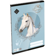 ICO: LizzySuli Wild Beauty Sport Club linkovaný zošit pre 4. ročník A/5 21-32