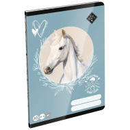 ICO: LizzySuli Wild Beauty Sport Club zošit bez liniek A/5 20-32