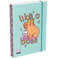 ICO: Lizzysuli Lollipop Capybara vzorovaný box na zošity A4