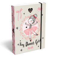 ICO: Lizzysuli Tiny Dancer Lovely Ballerina vzorovaný box na zošity A5