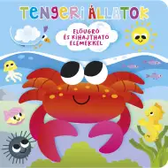 Kto sa schoval? - Pop-up kniha o morských zvieratách