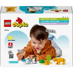 LEGO® DUPLO®: Zvieracie rodiny vo voľnej prírode: Tučniaky a levy (10442) obrázok 2