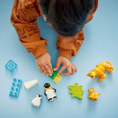 LEGO® DUPLO®: Zvieracie rodiny vo voľnej prírode: Tučniaky a levy (10442) obrázok 3