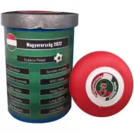 Maďarský výberový tím stolného futbalu