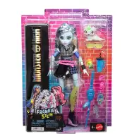 Monster High Frankie Stein bábika s doplnkami - Mattel