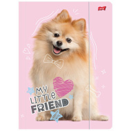My Little Friend Sweet Pomeranian – zložka so gumičkou, formát A4