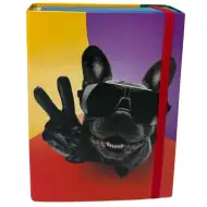 Nebulo: Box na zošit formátu A/5 s cool motívom buldoga