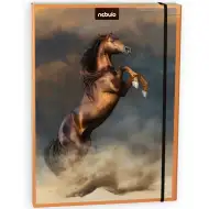 Nebulo: Box na zošity vo veľkosti A4 s motívom koní