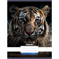 Nebulo: Čiarový zošit s motívom tigra 81-32 A/4