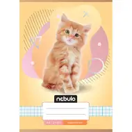 Nebulo: Kockovaný zošit s motívom mačky A/5 27-32
