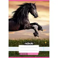 Nebulo: Koník pri západe slnka 4. ročník linajkový zošit A/5 21-32
