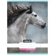Nebulo: Sivý kôň hladký zošit A4 80-32