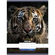 Nebulo: Tiger hladký zošit A4 80-32