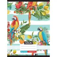 Nebulo: Zošit s kockovaným, pásikavým a papagájovým vzorom, zošit 87-32 A/4