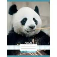 Nebulo: Zošit s kockovaným vzorom a pandou 87-32 A/4