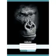 Nebulo: Zošit s kockovaným vzorom, zošit s motívom gorily 87-32 A/4