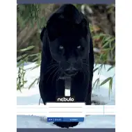 Nebulo: Zošit so šitou väzbou, linajkový, so zvieracím motívom – Čierny panter – vzorovaný zošit 81-32 A/4