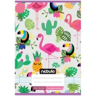 Nebulo: Zošit so šitou väzbou pre 2. ročník s motívom tukanov, linajkový, 16-32 strán, formát A5