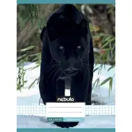 Nebulo: Zošit so štvorčekmi, šitý, s motívom čierneho pantera, 87-32, formát A/4