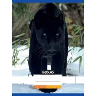 Nebulo: Zošívaný hladký zošit s čiernym páradčím vzorom 80-32 A/4