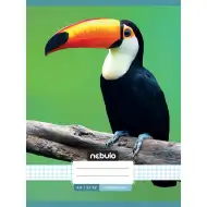 Nebulo: Zošívaný štvorčekový zošit s motívom tukana 87-32 A/4