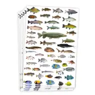 PlayBox: Nálepky s rybami, 300 ks