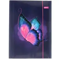 Spirit: Butterfly motýľová gumičková zložka A/4