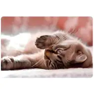 Spirit: Malá mačka stolový pult 60x40cm