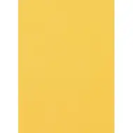 Spirit: Zlatá penová hubka, veľkosť A4, 2 mm