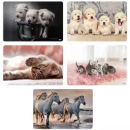 Spirit: Zvierací stolový podnos v rôznych variantoch 60x40cm